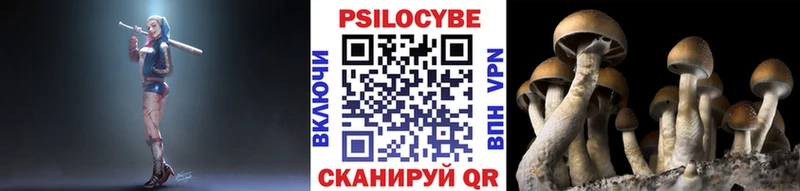 Псилоцибиновые грибы GOLDEN TEACHER  мега как войти  Буйнакск  где найти  